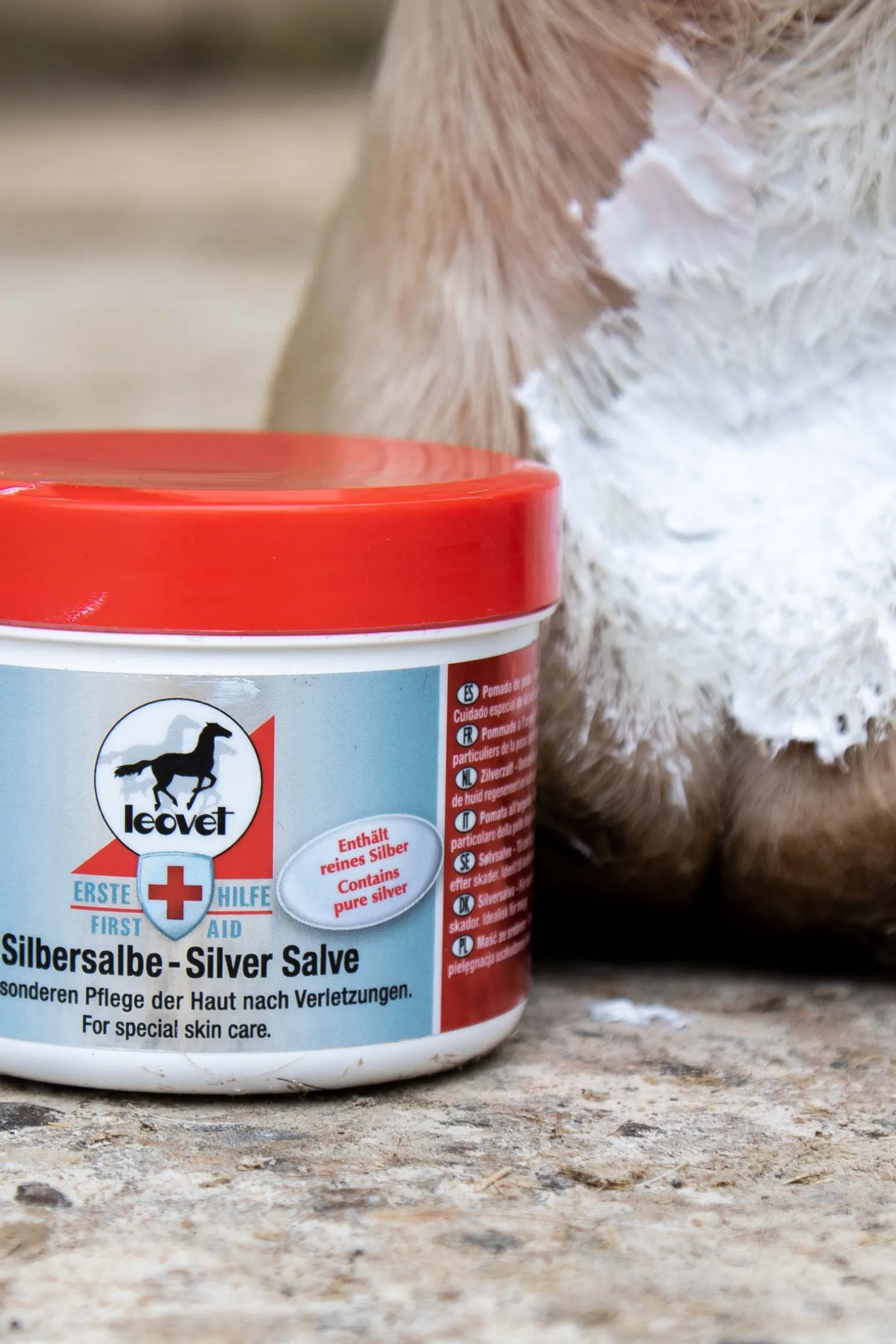 Leovet Silver salve