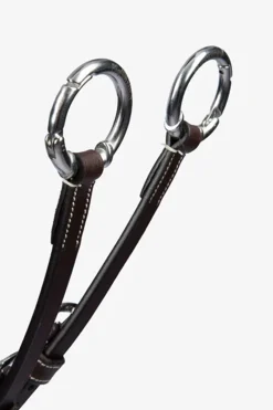 PS of Sweden fortøy Tokyo