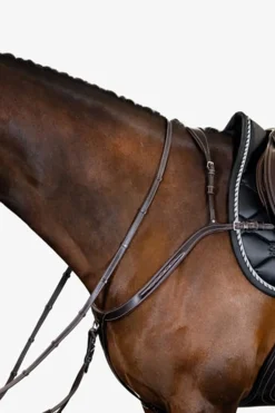 PS of Sweden fortøy Tokyo