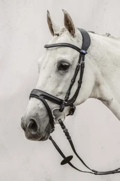 PS of Sweden Jump Off hodelag