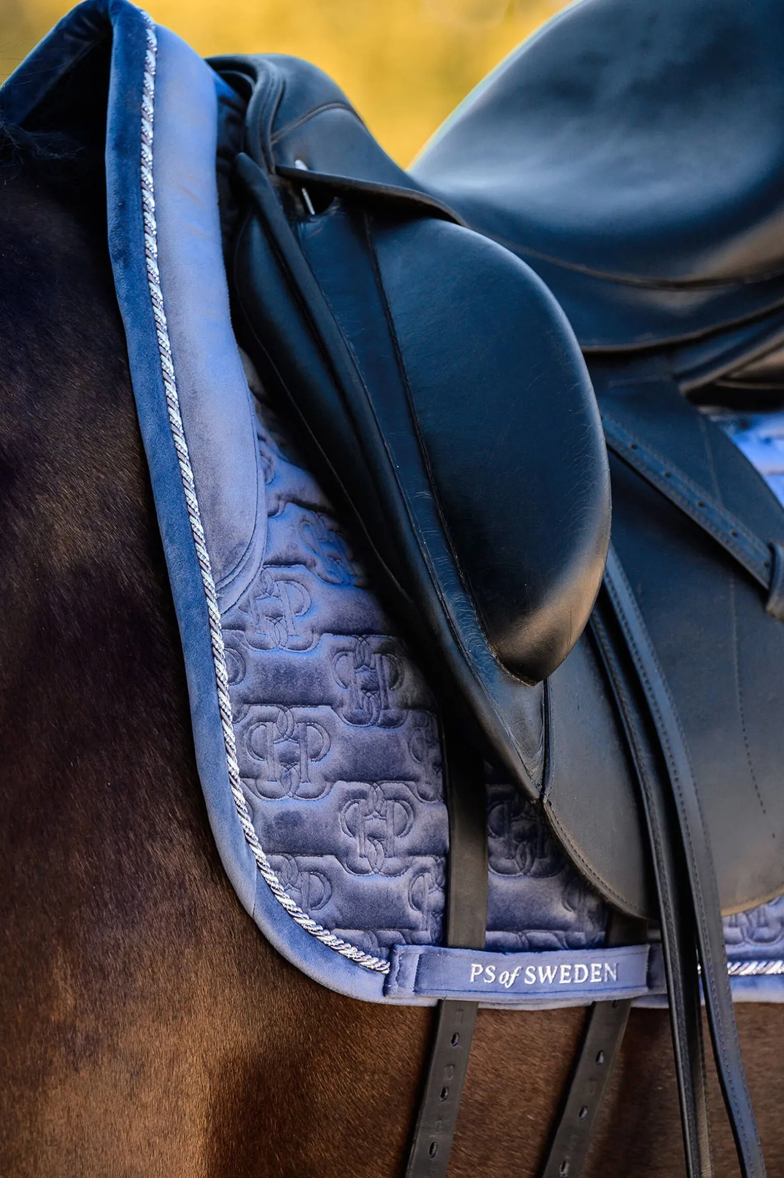 PS of Sweden sjabraker Velvet Monogram dressur