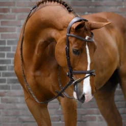 PS of Sweden Stockholm hodelag