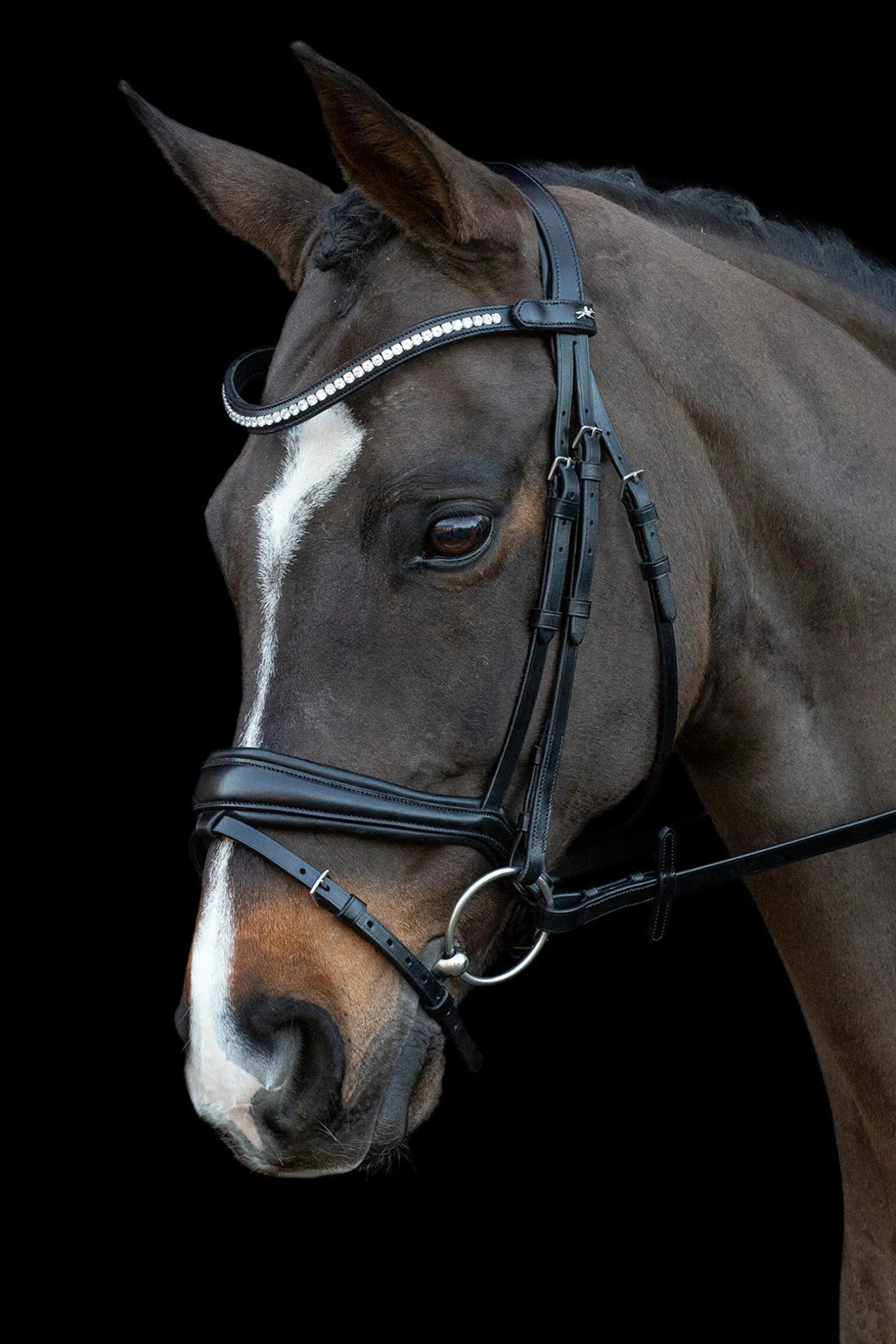 Schockemöhle Sports Charleston Hodelag