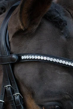 Schockemöhle Sports Charleston Hodelag