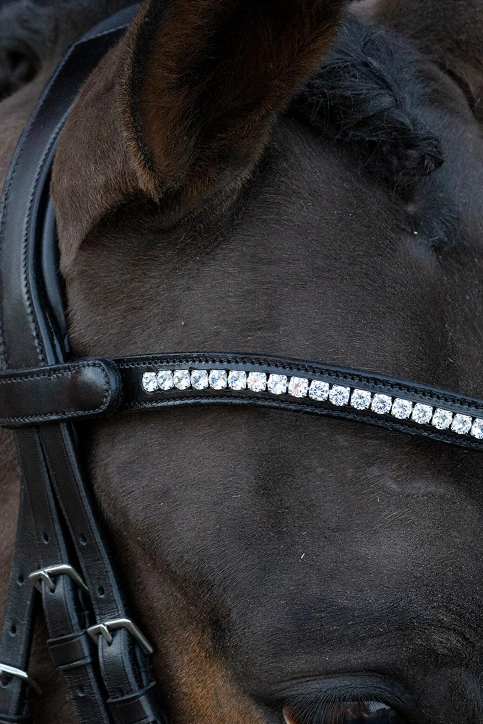 Schockemöhle Sports Charleston Hodelag