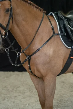 Schockemöhle Sports Como Fortøy