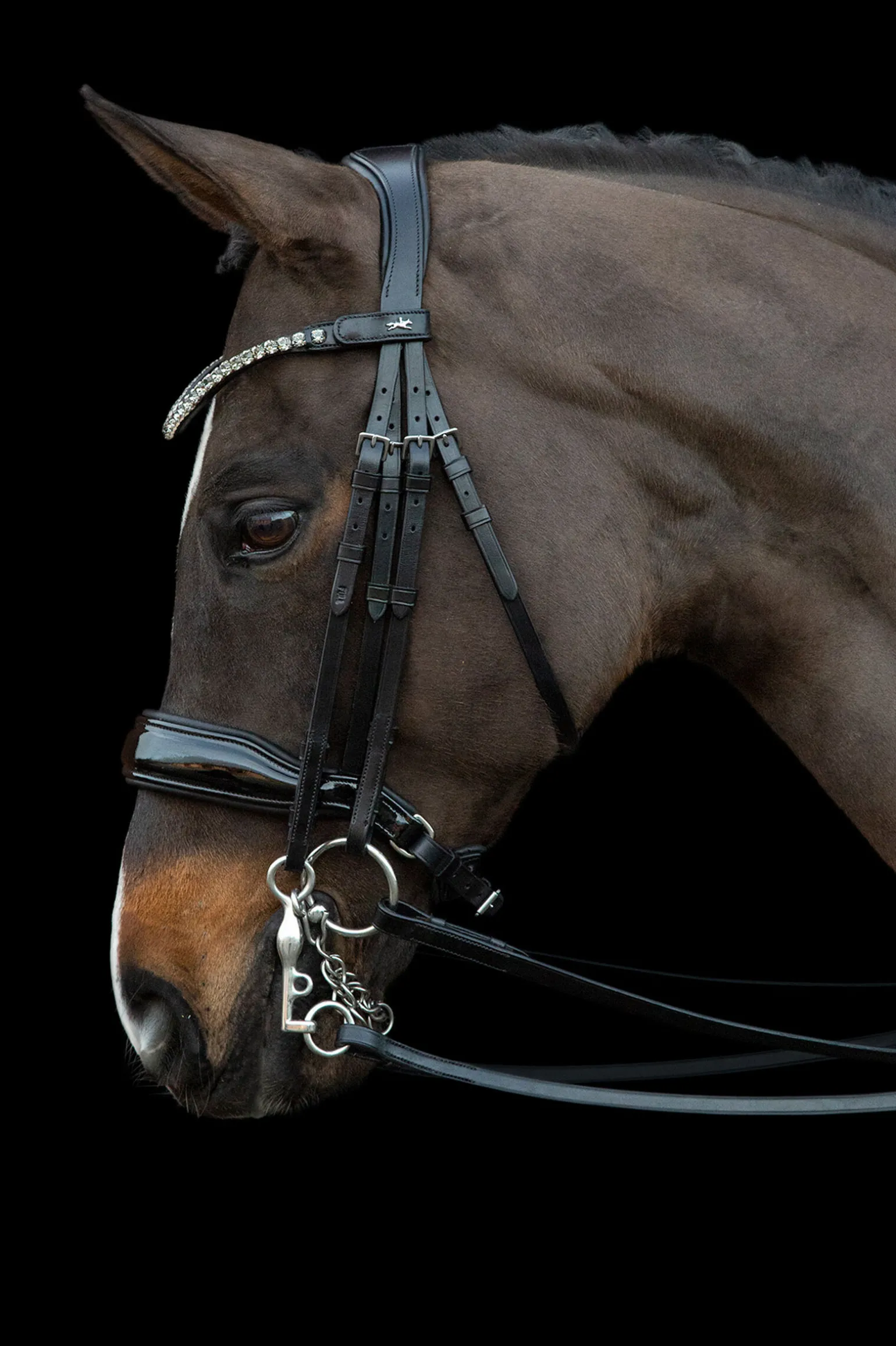 Schockemöhle Sports Milazzo Kandar