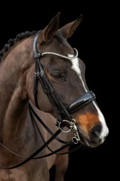 Schockemöhle Sports Milazzo Kandar