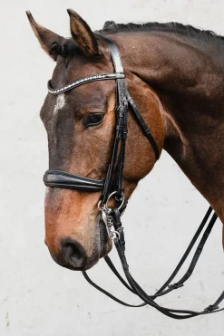 Schockemöhle Sports Milton Anatomic  Double Bridle