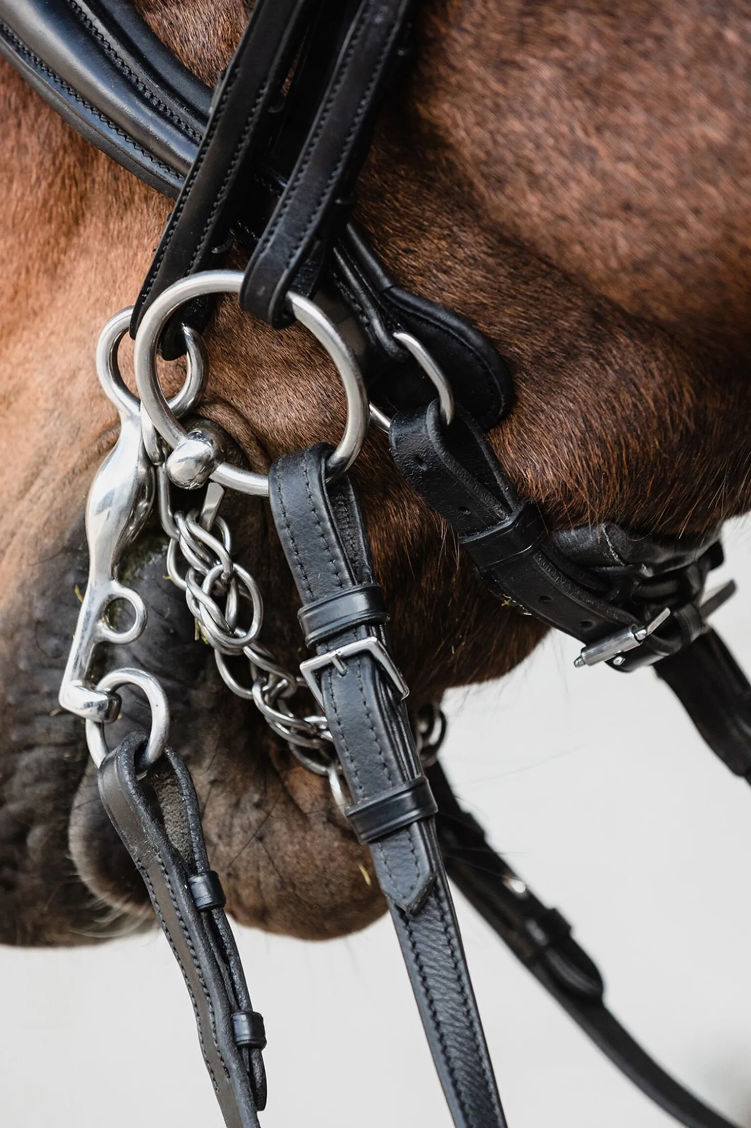 Schockemöhle Sports Milton Anatomic Double Bridle