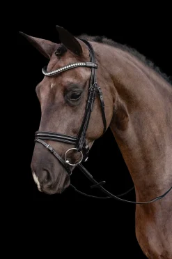 Schockemöhle Sports Palermo Trinse