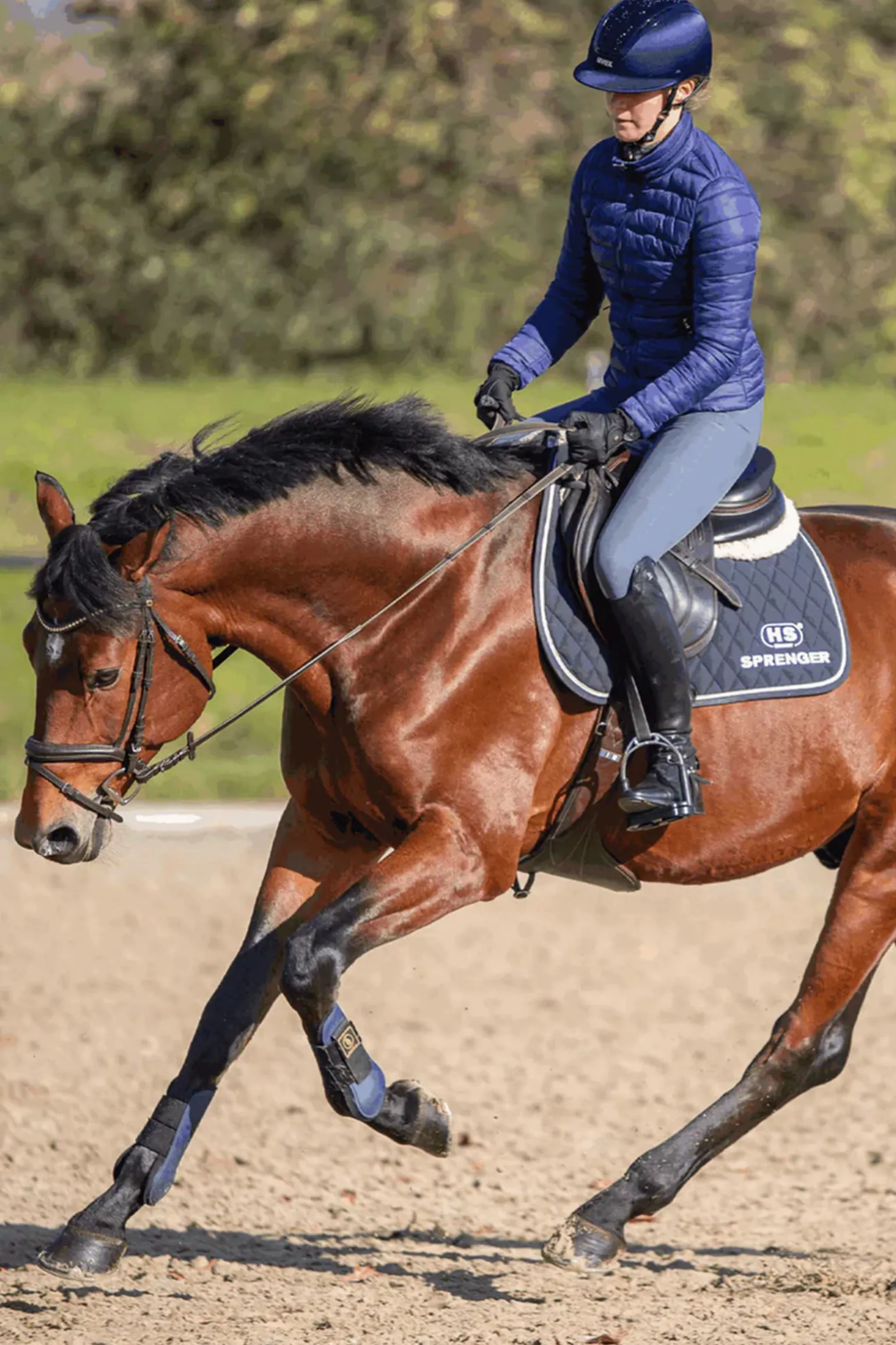 Sprenger Novocontact Olivehead Bit, Double Jointed