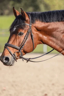 Sprenger Novocontact Olivehead Bit, Double Jointed