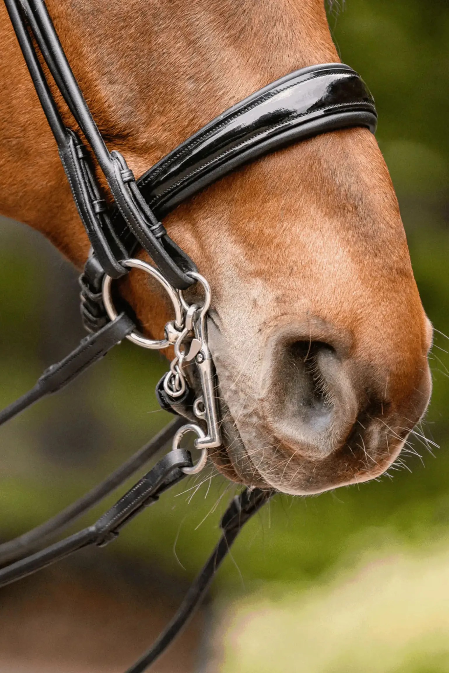 Sprenger Novocontact Weymouth 14mm Sensogan med 5cm rustfrie stålkjefter