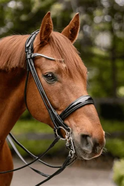 Sprenger Novocontact Weymouth 14mm Sensogan med 5cm rustfrie stålkjefter