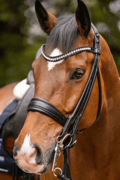 Sprenger Novocontact Weymouth 14mm Sensogan med 7cm rustfrie stålkjefter