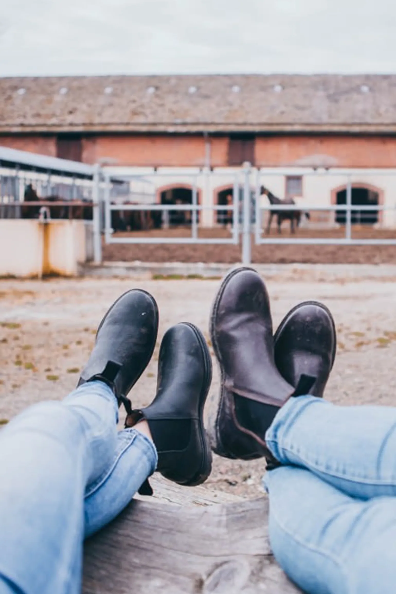 Suedwind Footwear 1888 Chelsea Jodhpur Støvler