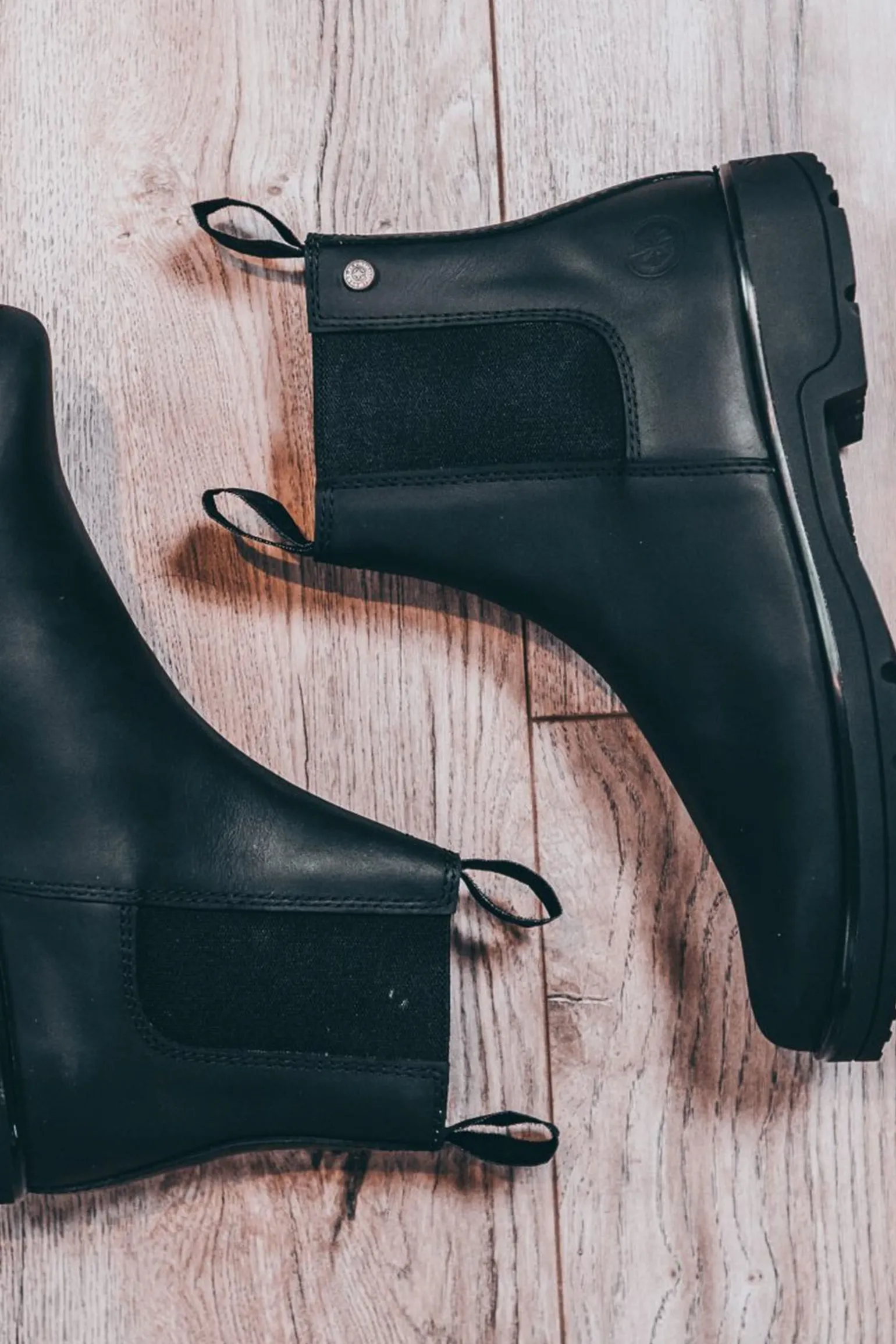 Suedwind Footwear 1888 Chelsea Jodhpur Støvler