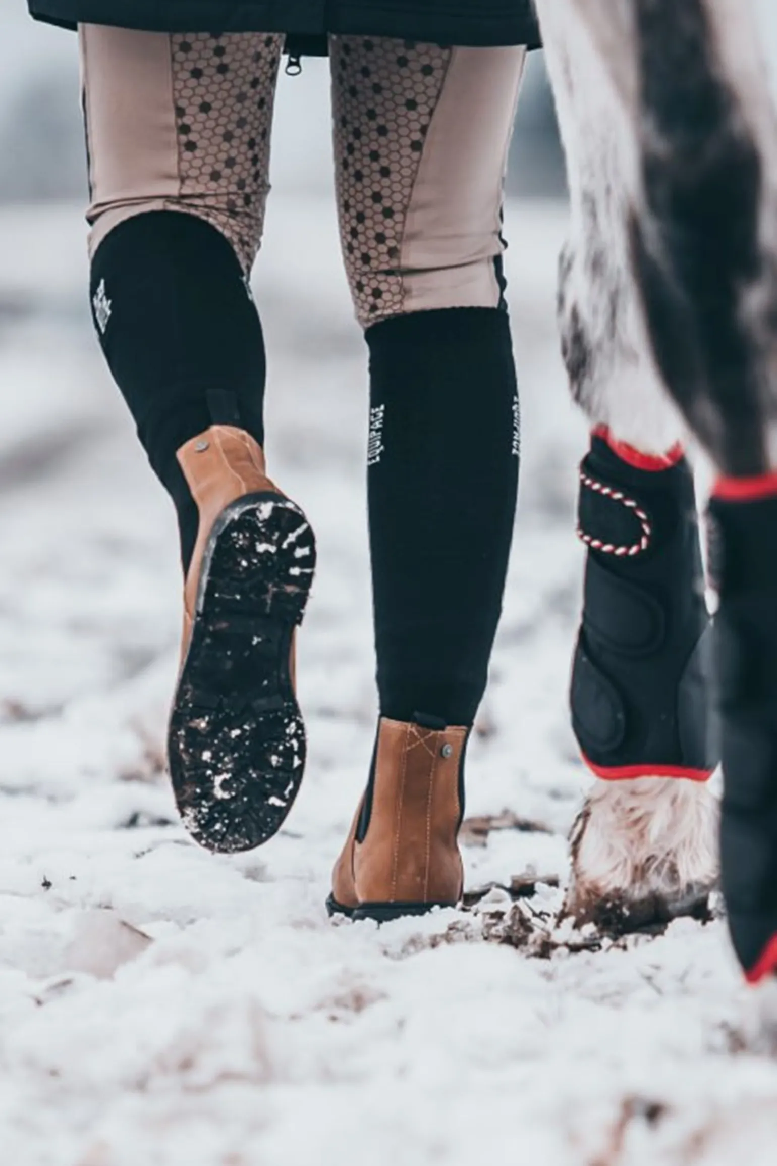 Suedwind Footwear New Work Vinter Jodhpur Støvler Chelsea