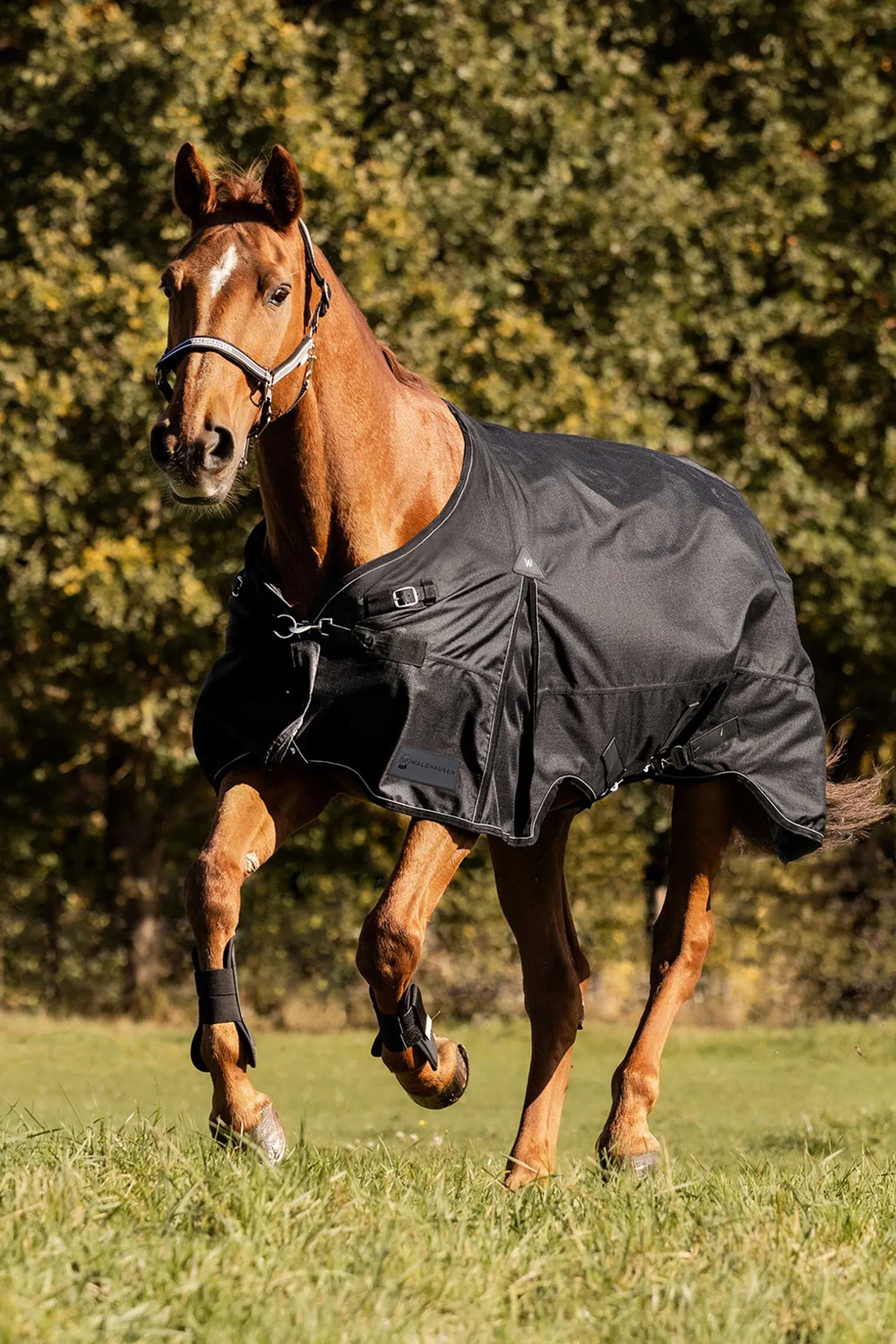 Waldhausen Scandic Utedekken, 200 g