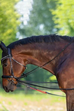 Waldhausen WTrainrein