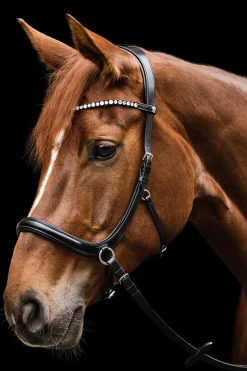 Waldhausen X-Line Sensation anatomisk bittløst hodelag