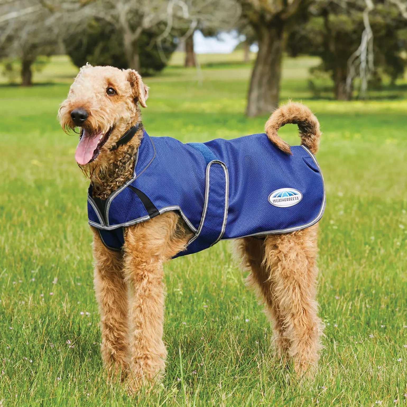 Weatherbeeta Comfitec Premier Free Parka Deluxe hundedekken, 220 gram